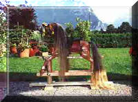 Elianes-horse+swiss mountains 